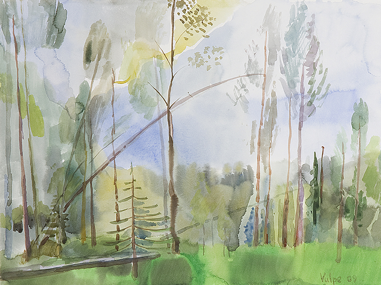 in apropiere mlastina